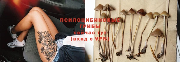 спиды Зеленокумск
