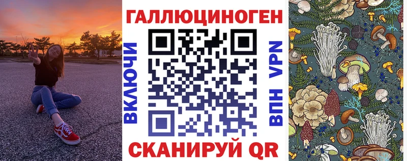 Псилоцибиновые грибы GOLDEN TEACHER  Купить закладки  Луза 